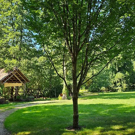 Drozda Casa vacanze Jeziorowskie