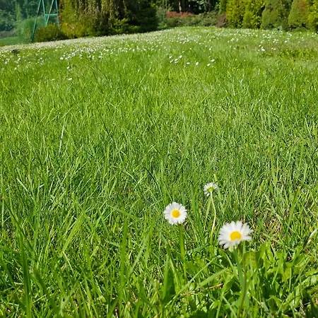 Drozda Casa vacanze *