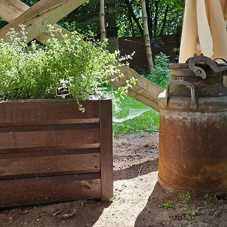 Casa vacanze Drozda Jeziorowskie